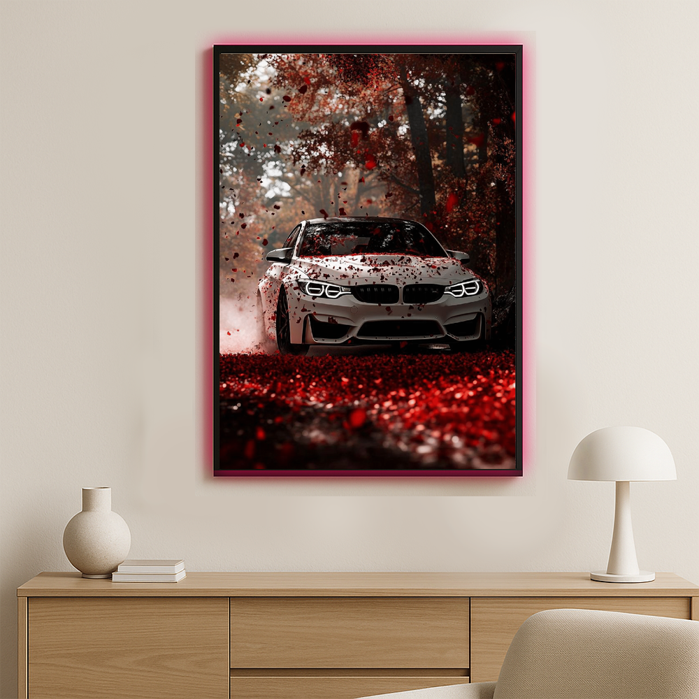 BMW Illuminated Frame